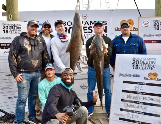Weighing in Cobia at the Flathead tournament at Boshamps on Destin Harbor