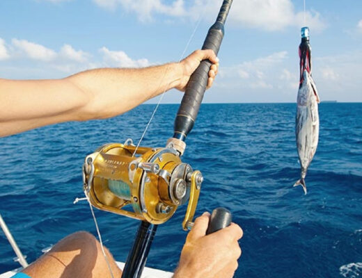 Boat Fishing