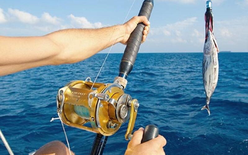 Boat Fishing