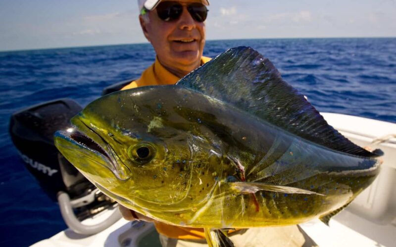 Fishing Tours